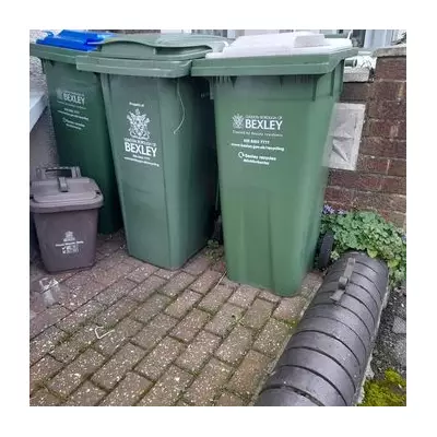 Bexley Festive Bin Collections: Christmas Tree Disposal & Recycling Guide