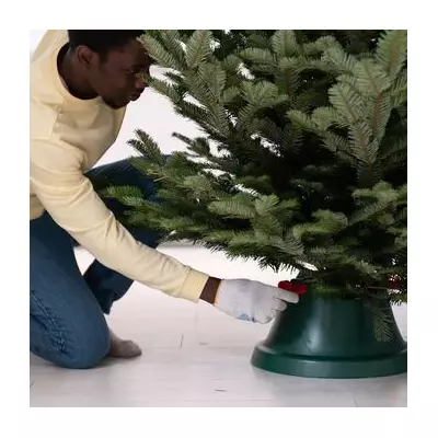 Don't Bin Your Tree! Make 'Amazing' Disinfectant Spray with 2 Ingredients