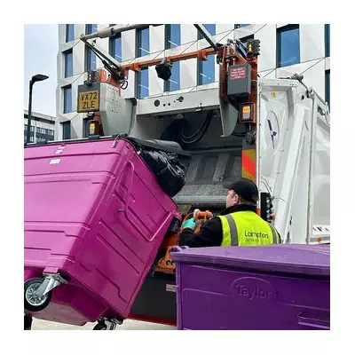 Hounslow Christmas Bin Collection Changes & Tree Recycling Guide