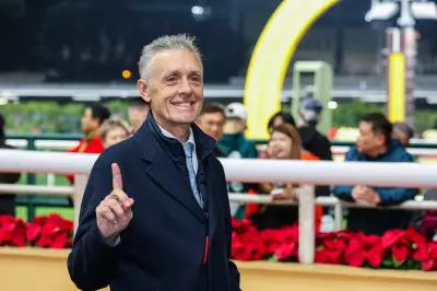 Invincible Ibis Targets Mile Glory in Hong Kong Classic Series Prep