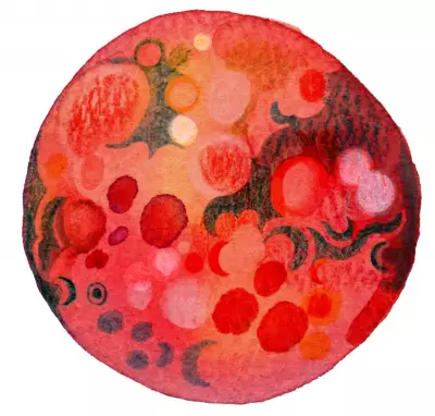 Kids' Curious Questions Answered: Why Mars is Red and Hedgehog Spikes