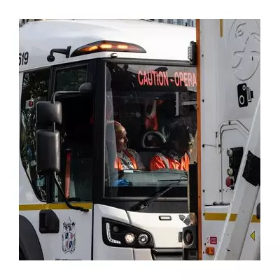 Lewisham Festive Bin Collection Dates 2025: Key Changes for Christmas & New Year