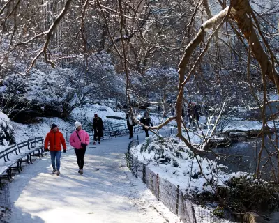 New York Sees Earliest Snow Since 2018 as Tornado Rips Christmas Lights in Spain