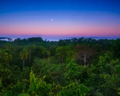 Panama's Darién Gap: How Tech & Teamwork Slashed Deforestation by 88%