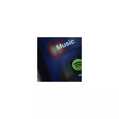 Spotify data breach: 86 million songs copied by activist 'shadow library'