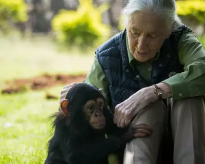 Starmus Launches Jane Goodall Earth Medal to Honour Environmental Champions
