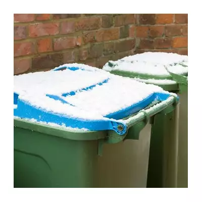 Sutton's Festive Bin Collection Changes: Revised Dates & Tree Recycling