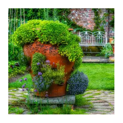 Ticehurst: UK's Prettiest Commuter Village with Homes £140k Cheaper Than London