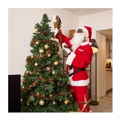 Tottenham's 'Real-Life Santa' Earns £1,5K Doing Festive Tasks in London