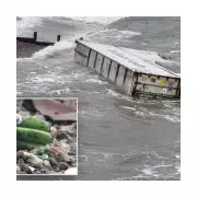 5,000 Bananas Wash Ashore on Isle of Wight, Disrupting Cruise Ship