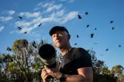 50,000 Images of 'Sky Puppies': The Photographer Fighting for Flying Foxes