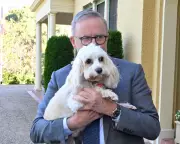 Albanese's Summer Reading List: Six Books for the PM's Holiday