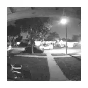 Amazon Driver Caught on Camera Allegedly Stealing Cat in California