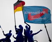 Analysis: Five Key Drivers Behind Germany's Far-Right Surge
