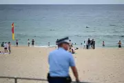 Australia's Gun Laws Must Evolve After Bondi Attack, Says Public Health Expert