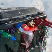 Bin Man's Christmas Warning: Don't Bin Your Wrapping Paper