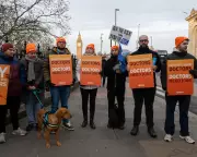 BMA Faces Staff Strike Over Pay as It Backs Junior Doctors' Walkout
