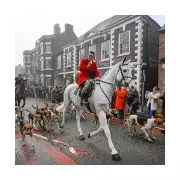 Boxing Day Hunts Face Ban by 2029 as Labour Targets Trail Hunting