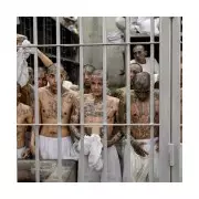 CBS Axes '60 Minutes' Report on El Salvador's CECOT Prison, Citing 'Political' Motives