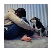 Escaping domestic abuse: The heartbreaking choice to leave pets behind