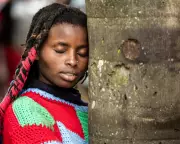 EU's Landmark Anti-Deforestation Law 'Dismantled' by Loopholes and Delays