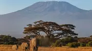 Five dead in Kilimanjaro helicopter crash during medical evacuation