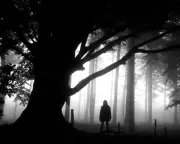 Five Must-Read Crime & Thriller Novels: From Remote Islands to London Property