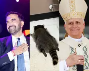 From a Drunk Raccoon to a New Pope: Guardian Readers' Uplifting 2025 Stories