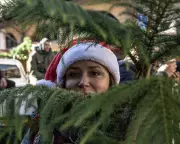 Global Snapshot: Polar Bear Adoption, Christmas in Jerusalem & Migrants' Tree