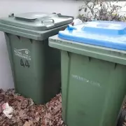 Greenwich Festive Bin Collections & Council Service Changes Revealed