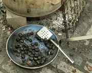 How a Father's Poisonous Conker Mistake Reveals the Heart of UK Immigration