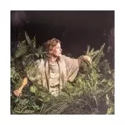 Into the Woods Review: London's Must-See Christmas Show Beats Panto