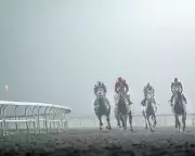 Kempton Park's Future in Jeopardy as Jockey Club's Secret 2018 Deal with Redrow Emerges