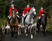 Labour alienates rural voters with trail hunting ban plan, poll finds