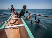 Madagascar's Vezo Fishermen Turn to Seaweed as Climate Change and Trawlers Deplete Fish