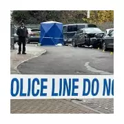 Man, 30s, killed in 'proper carnage' car crash outside Willesden Magistrates' Court