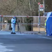 Man, 55, Shot Dead in Brent Street: Gunman Still at Large