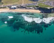 Man Charged After Displaying Nazi SS Tattoos at Newcastle Beach