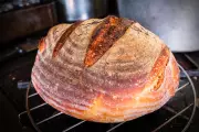 Mastering Sourdough: How Tech and Technique Transform Home Baking