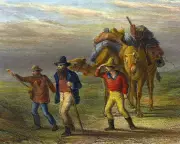 Melbourne's Burke and Wills Statue Debate: Reassessing a 'Heroic' Failure