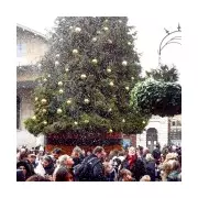 Met Office Christmas Forecast: Cold Snap Brings Slim Chance of Snow