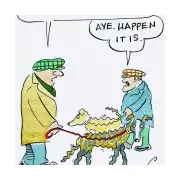 Metro Daily Cartoon by Guy Venables: A Look at the 4 December 2025 Edition