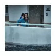 Netflix's 'The Great Flood' Divides UK Viewers Despite Top 10 Success