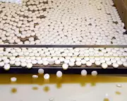 New Antibiotics Offer Hope in Fight Against Drug-Resistant Gonorrhoea