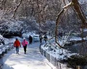 New York Sees Earliest Snow Since 2018 as Tornado Rips Christmas Lights in Spain