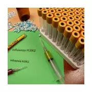 NHS Faces 'Unprecedented' Winter Flu Wave Driven by H3N2 K Variant