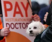 NHS Junior Doctors Launch 5-Day Strike After Rejecting Government Offer