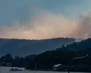 NSW Bushfires Destroy 16 Homes as Government Faces Child Repatriation Row