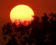 NSW Heatwave Hits 37.8C in Sydney as Bushfire Warnings Issued