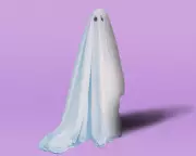 Party Etiquette: Why Ghosting Beats Last-Minute Cancellations